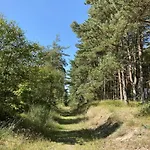 8 Person In Hadsund